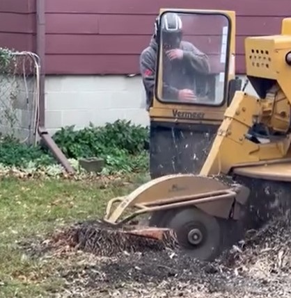 stump removal fort smith ar